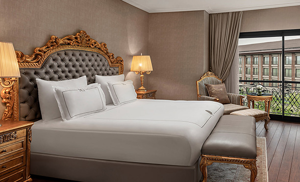 Ng Sapanca Kral Dairesi Other Room