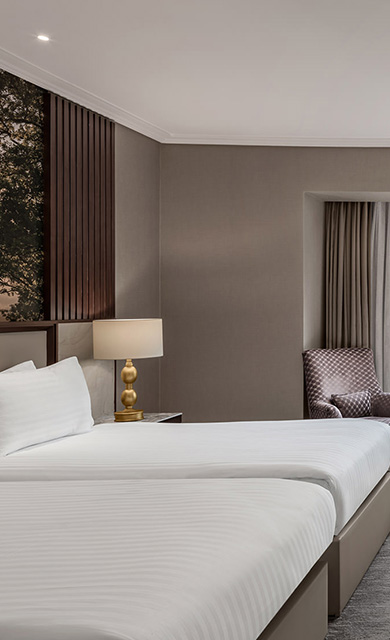 Superior Deluxe Room Banner M
