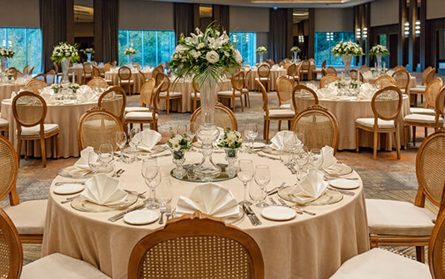 Ng Hotels Blog Banner M